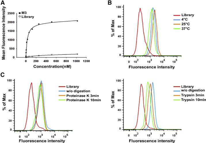 Figure 3