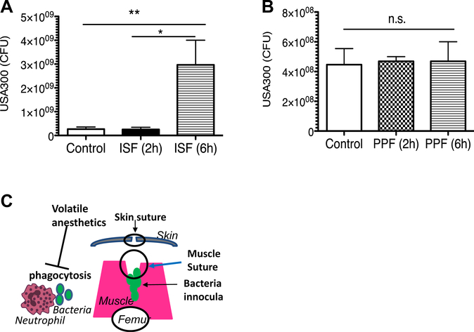 Fig. 4 –