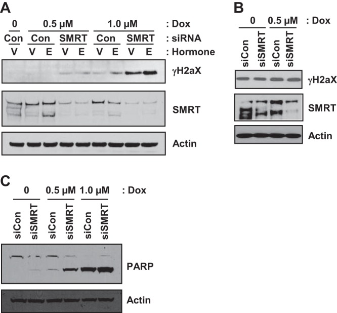 FIG 2