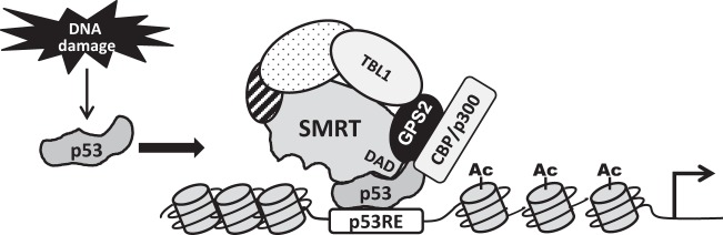 FIG 10