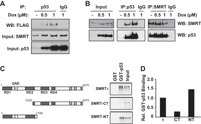 FIG 6