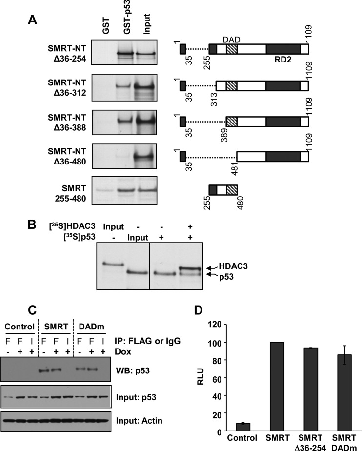 FIG 9