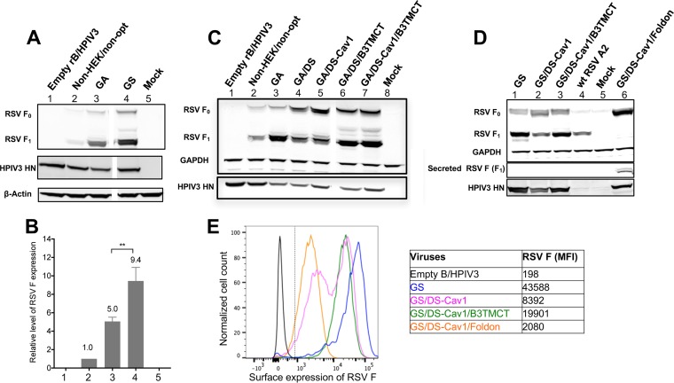 FIG 3