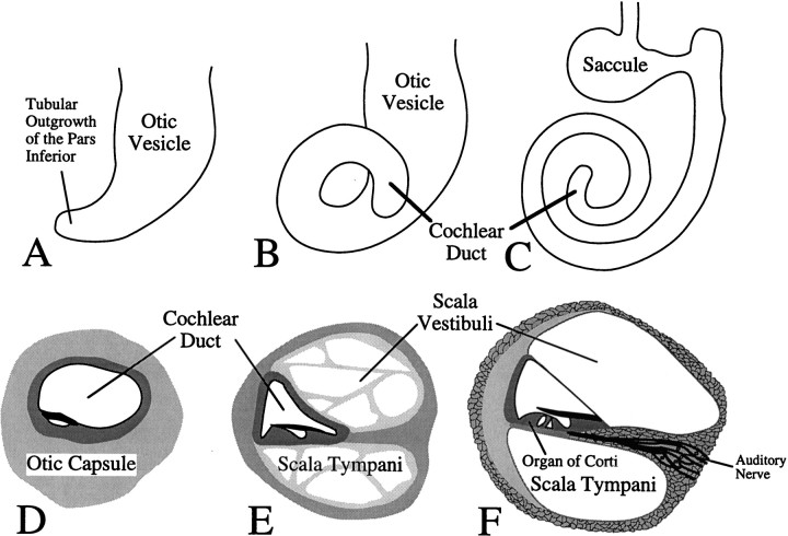 Fig. 10.