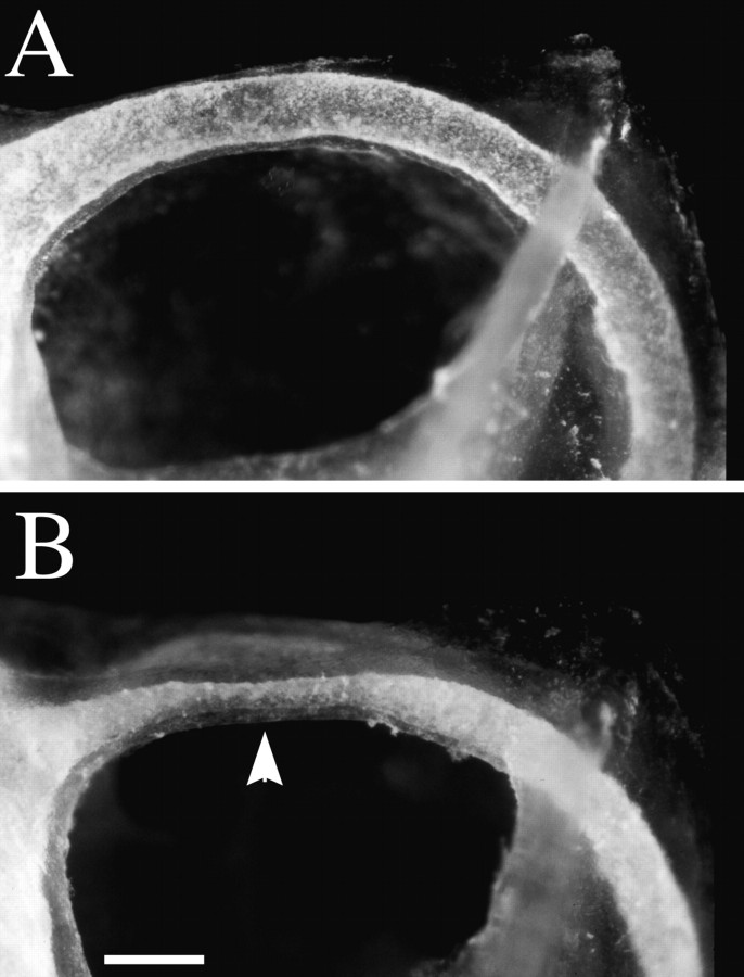 Fig. 9.