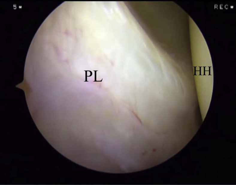 Fig 8
