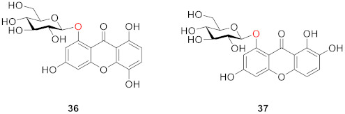 graphic file with name molecules-26-05575-i014.jpg