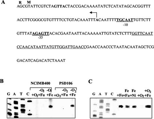 FIG. 6.