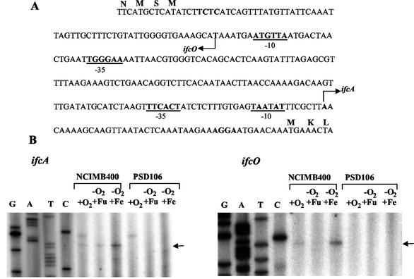 FIG. 5.