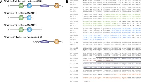 Figure 6.