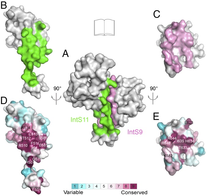 Fig. 3.