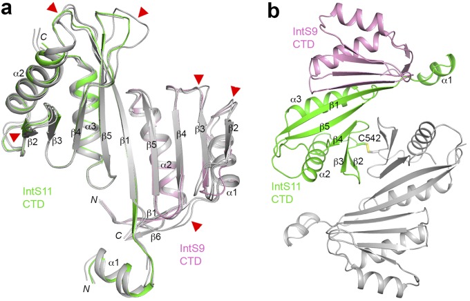 Fig. S4.