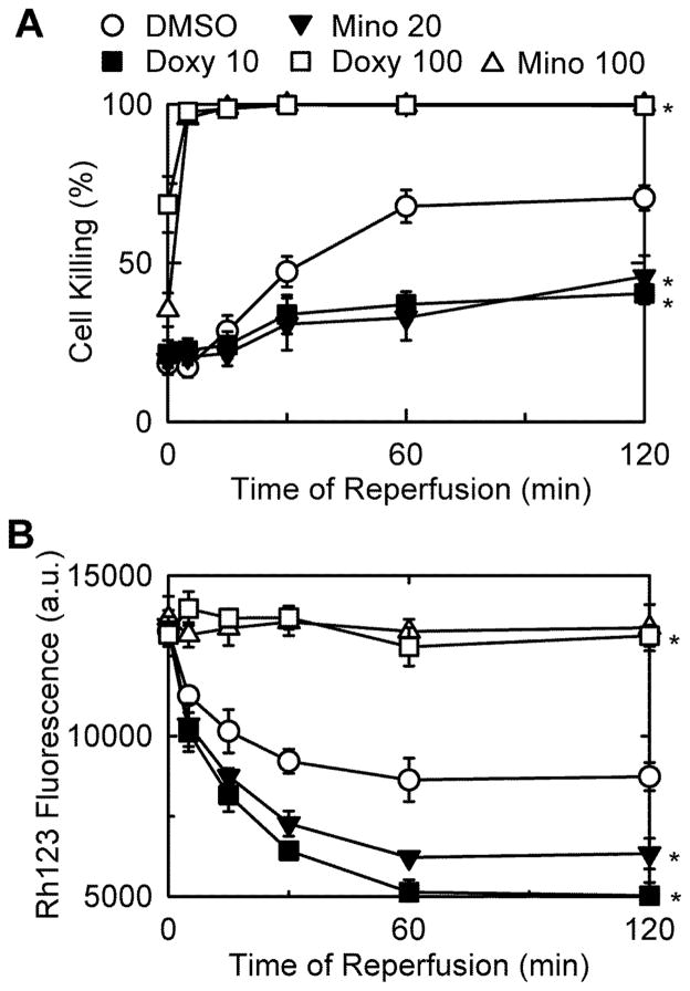 Fig. 6