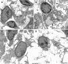 Fig. 8