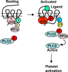 Figure 7.