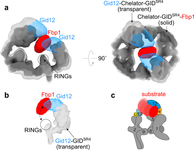 Fig. 4