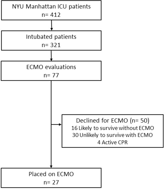 Figure 1