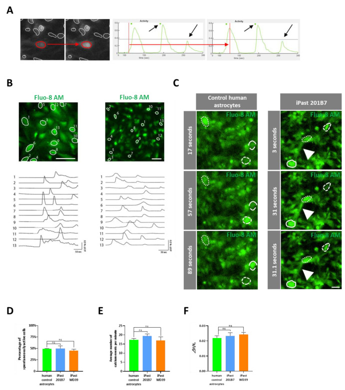 Figure 6