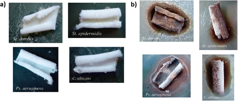 Fig. 4