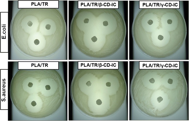 Fig. 14