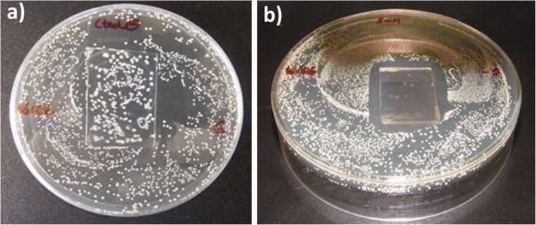 Fig. 12