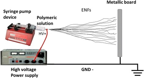 Fig. 8