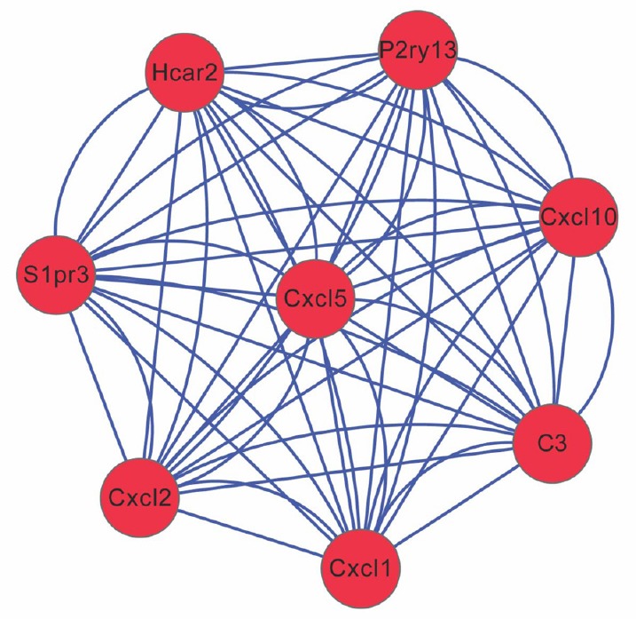 Figure 5