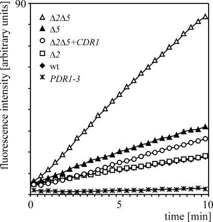 FIG. 2.