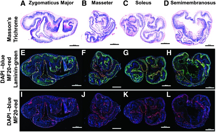 FIG. 7.