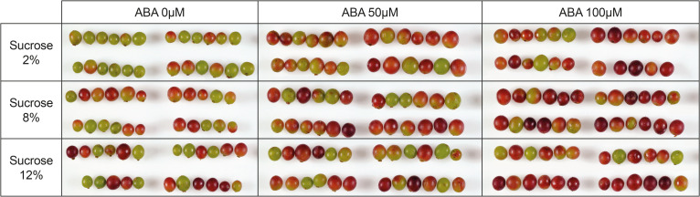 Figure 2