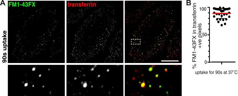 Figure 2—figure supplement 7.