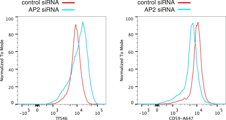 Figure 4—figure supplement 1.