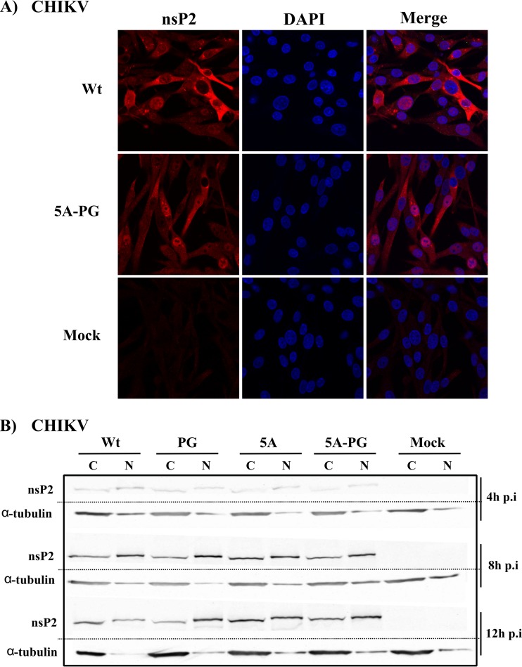 FIG 4