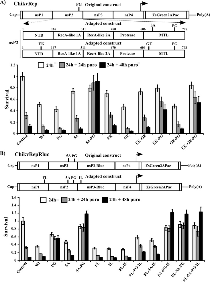 FIG 1