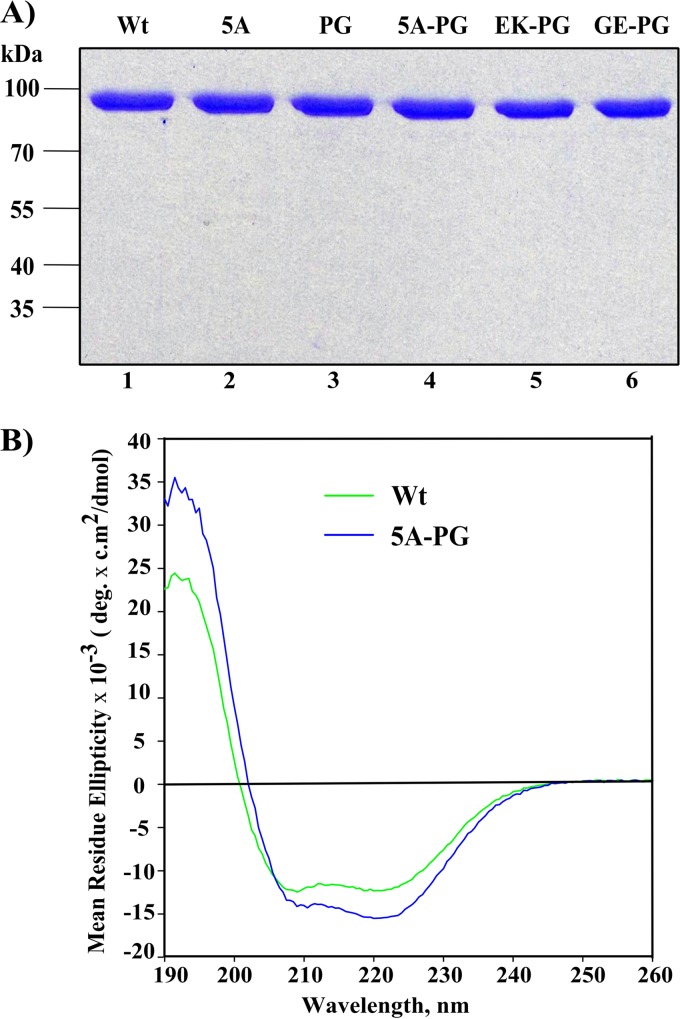 FIG 6