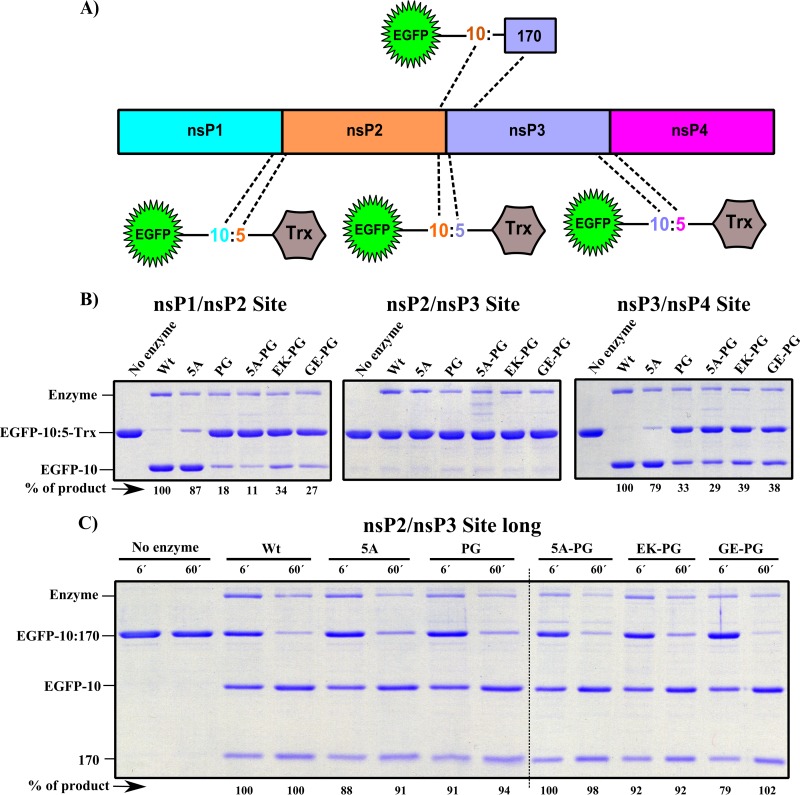 FIG 7