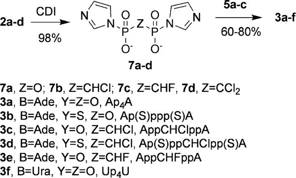 Scheme 3