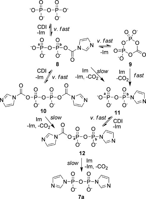 Scheme 4