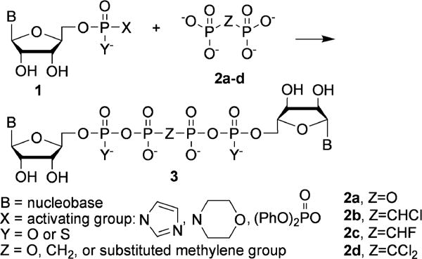 Scheme 1