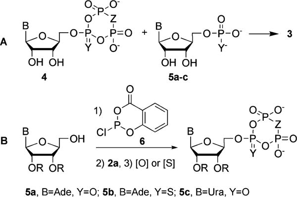 Scheme 2