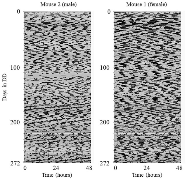 Figure 1.