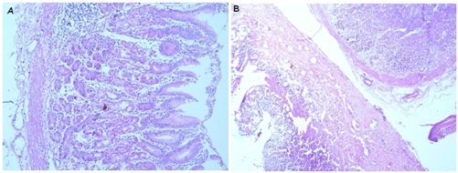 [Table/Fig-3a,b]: