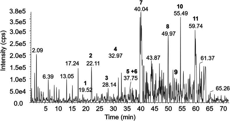 Fig. 2