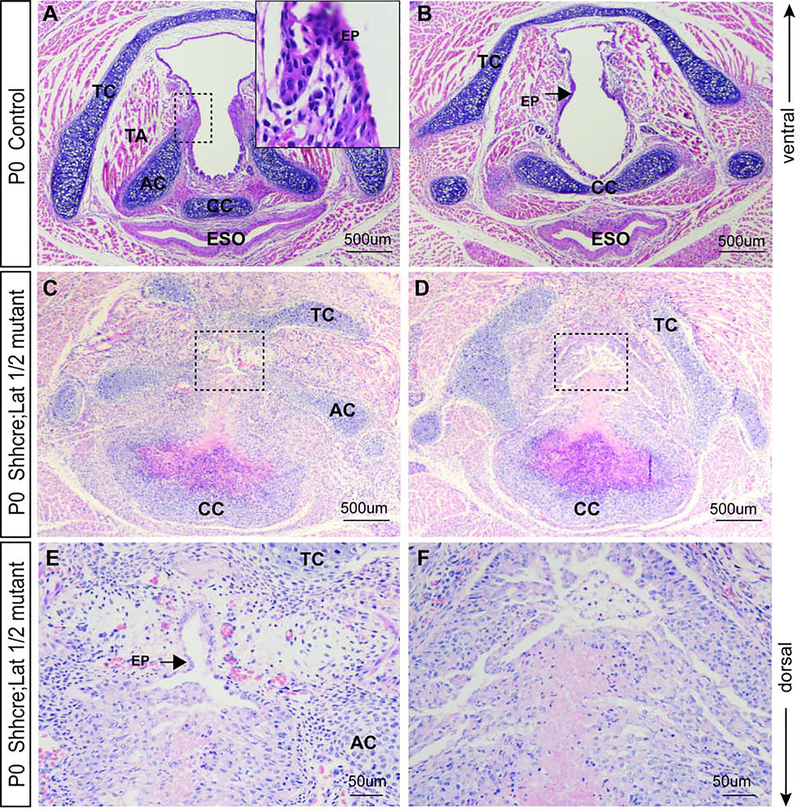 Figure 7: