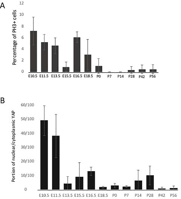 Figure 5: