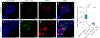 Fig. 5|