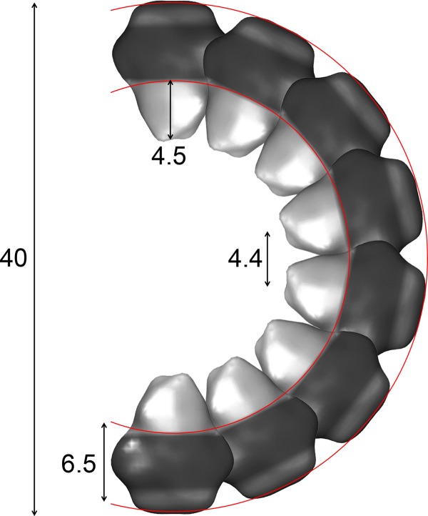 FIGURE 8.