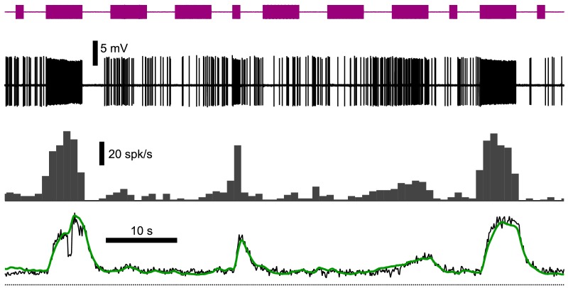 Figure 5—figure supplement 1.