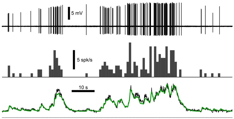 Figure 5—figure supplement 3.