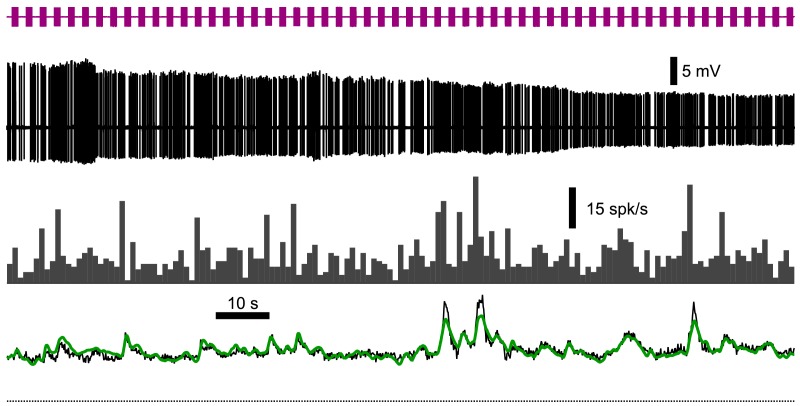 Figure 5—figure supplement 2.